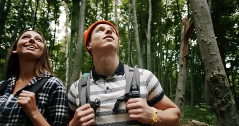 Tourists in Forest Looking Around 库存影片 115296580