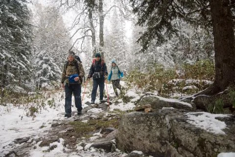Tourists in the forest Stock Photos