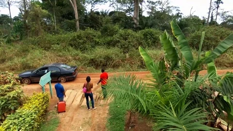Tourists on a forest road Stock Footage 80847937