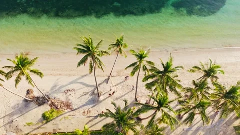 Tourists Gather Beneath Leaning Palms on Boracay Beach at Sunrise Coast Stock Footage 336369901