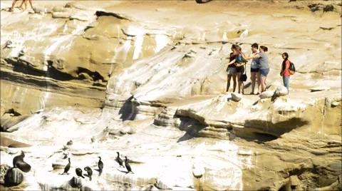 Tourists get a better view of the local wild life. Stock Footage 52678452