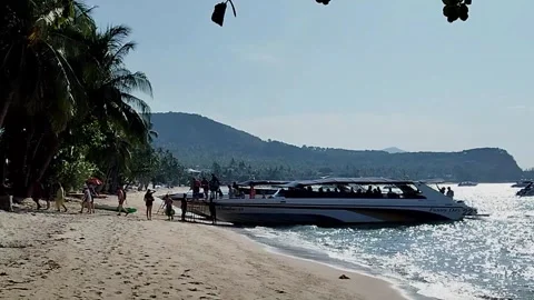 Tourists getting off speed boat, Koh Samui Stock Footage 343829580