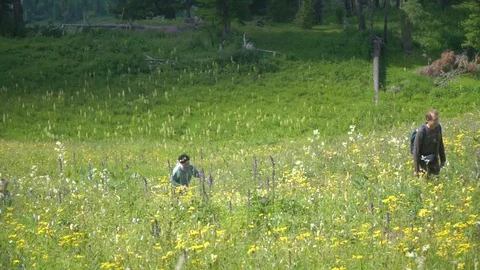 Tourists go uphill Видео 94585246