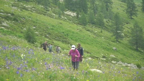 Tourists go uphill Видео 94585292
