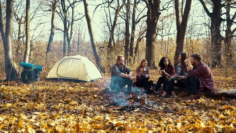 Tourists having hot drinks by fire in autumn forest Stock Footage 121616526