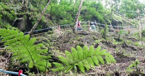 Tourists hike. Vídeo Stock 201292776