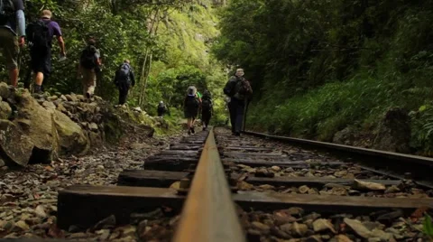 Tourists hiking in forest Stock-Footage 51825439