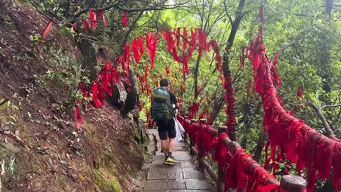 Tourists hiking on mountain path with red ribbons tied to trees. Stock-Footage 341578787