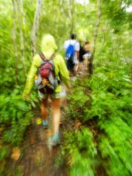 Tourists hiking in the rain (blurred motion) on Rinca island, Komodo National Stock Photos