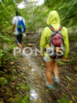 Tourists hiking in the rain (blurred motion) on Rinca island, Komodo National Stock Photos
