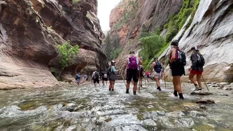 Tourists hiking through water on The Narrows hike in Zion National Park