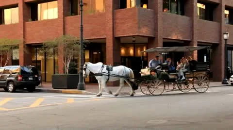 Tourists in a horse carriage Stock Footage 8909853