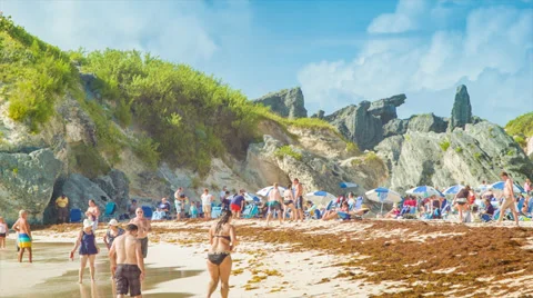 Tourists on Horseshoe Bay Beach in Bermuda Stock Footage