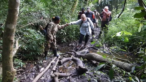 Tourists in Kibale Forest, Uganda Stock Footage 100460692