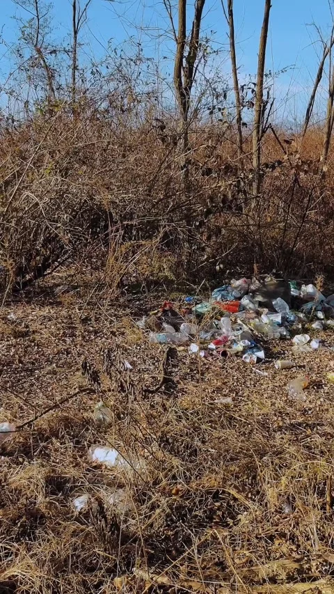 Tourists left trash. A garbage dump in the winter forest. Plastic waste - an Stock Footage 308517441
