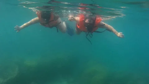 Tourists in life vests float underwater Snorkeling Stock Footage 86485838
