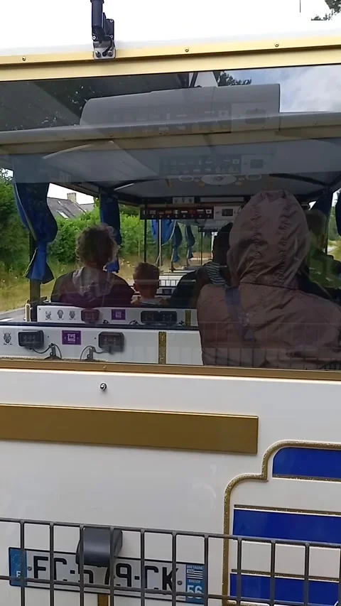 On the tourists little train Stock Footage 313794973