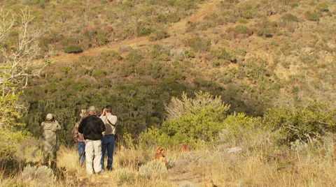 Tourists looking through binoculars at ranch Video stock 54591219