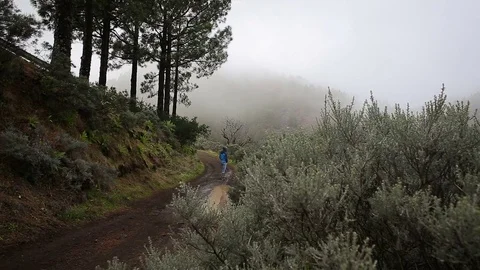 Tourists making photo of mountain landscape Stock Footage