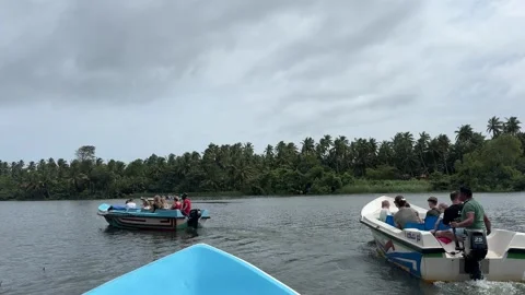 Tourists on a Mangrove boat excursion Stock Footage 319185025