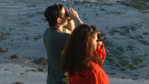 Tourists in Maverick with Pacific Ocean in background. California USA Stock Footage 101855756