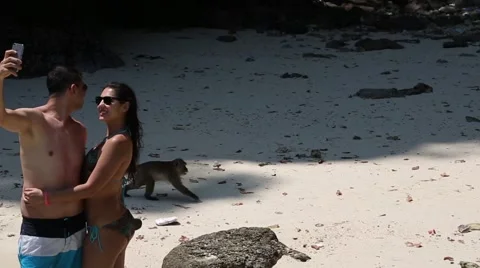 Tourists on the Monkey Beach at Maya bay Phi Phi Leh island, Thailand Stock Footage 51029869