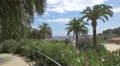 Tourists near the palm trees in the park in Barcelona 4k or 4k+ Resolution