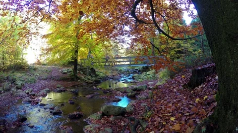 Tourists on a old bridge. Stock Footage 80528980