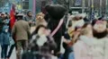 Tourists on Pariser Platz in Berlin, unrecognizable people HD Footage