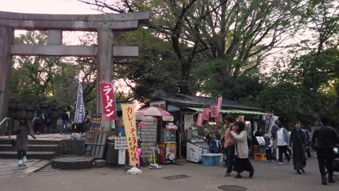 Tourists passing below the stone torii gate of the Ueno Tosho-gu shrine. Stock-Footage 152797357