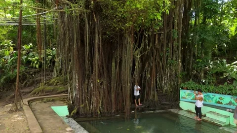 Tourists Photographing Inside Old Enchanted Balete Tree Roots, Siquijor Stock Footage 335210201