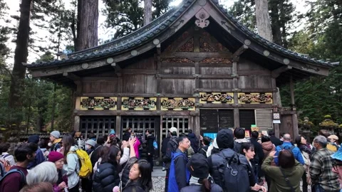 Tourists photographing the three wise monkeys at Toshogu Shrine in Nikko Video stock 308007656