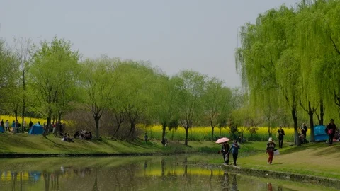 Tourists play around the river in Spring 스톡 동영상 107750137