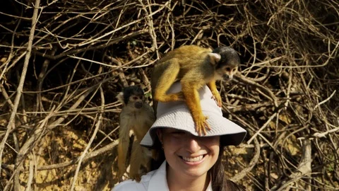 Tourists play with squirrel monkeys during a boat trip at Yacuma river, Bolivia Stock Footage 125486523