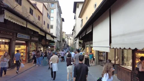 Tourists on Ponte Vecchio Stock Footage 313267520
