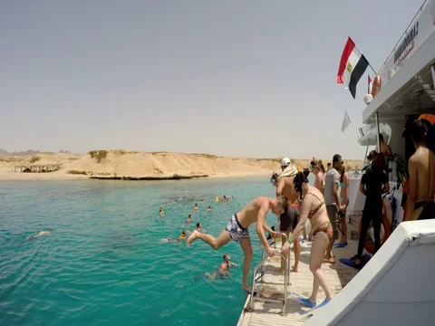 Tourists on the reef Stock Footage 72770968