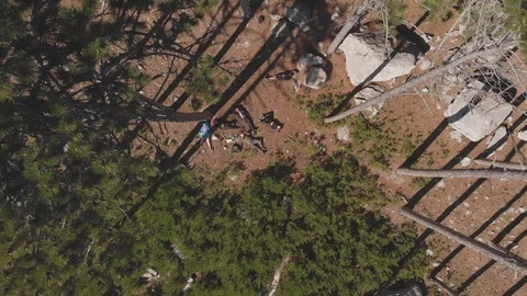 Tourists rest in the mountain pine forest. halt. aerial view 스톡 동영상 104154081