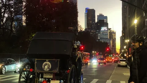 Tourists ride horse-drawn carriages in regular street traffic in Manhattan Stock Footage 166324005
