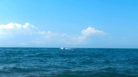 Tourists ride on an inflatable rubber ring tied to a jet ski Stock Footage 128687487