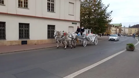 Tourists ride in white carriage pulled by white horses along streets of Krakow Stock Footage 304761089