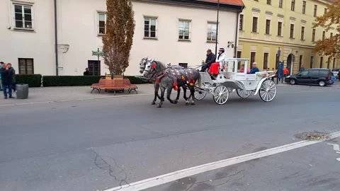 Tourists ride in white carriage pulled by gray horses through streets Krakow 스톡 동영상 304801099