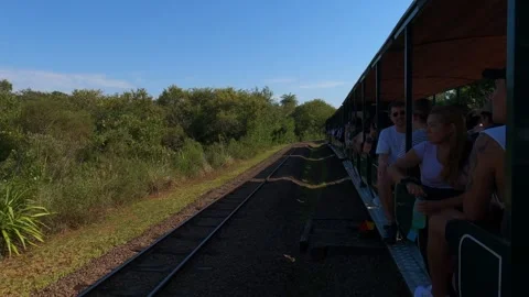 Tourists riding Rainforest Ecological Train to Iguacu Falls, Argentina 動画素材 335203413