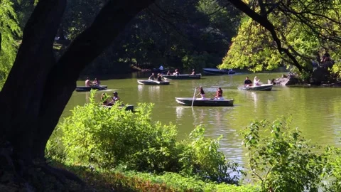 Tourists rowing in row boats in the Central Park Lake in summer, 4K Stock Footage 346578015