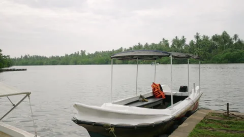 Tourists set sail for lake excursion in motor vessel, exploring scenic water Stock Footage 264846429