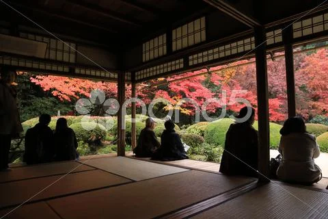 Tourists sit and observe fall season of Shisen-do garden Stock Photos