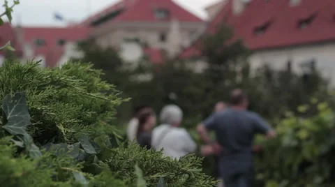 Tourists on the site Stock Footage 41456558