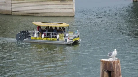 Tourists on Small Pedal Powered Barge Stock Footage 80668971