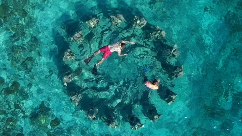Tourists Snorkelling Around Underwater Sculpture in Gili Meno, Lombok, Indonesia Stock Footage