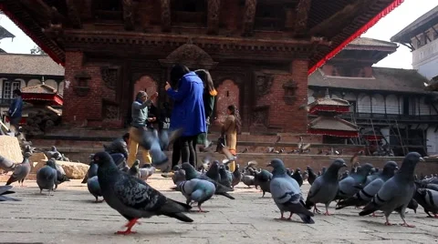 Tourists on the square and pigeons Stock Footage 59138734