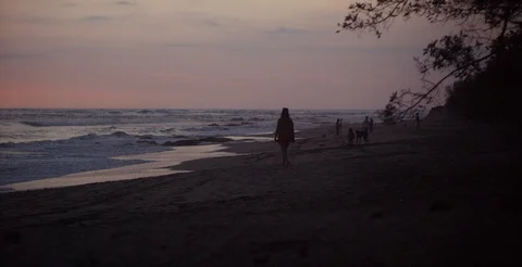 Tourists strolling on beach at sunset Stock Footage 107015953
